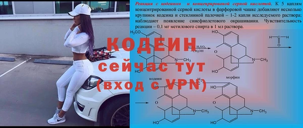 дмт Дмитриев