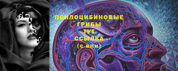 молекула духа Дмитровск