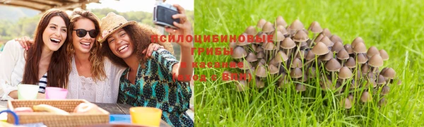 мет Елизово