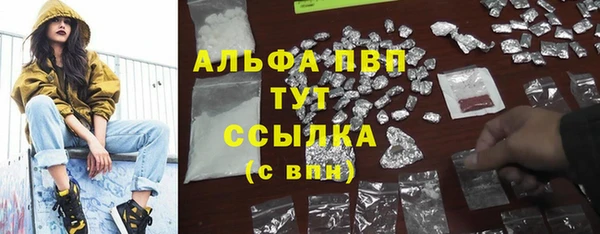 дмт Дмитриев