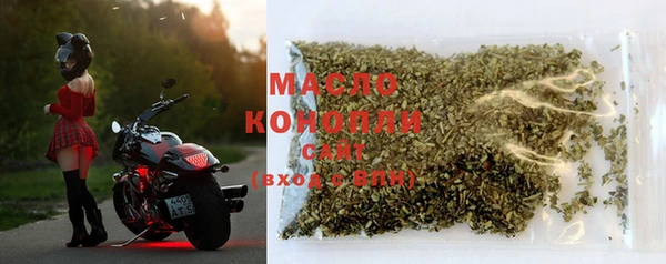 дмт Дмитриев