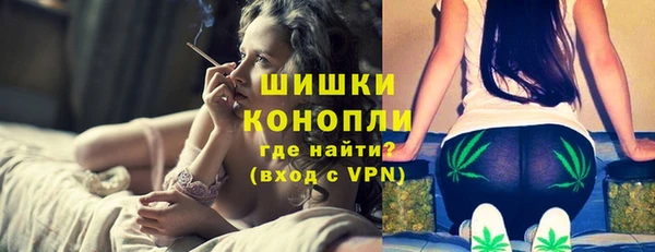 дмт Дмитриев